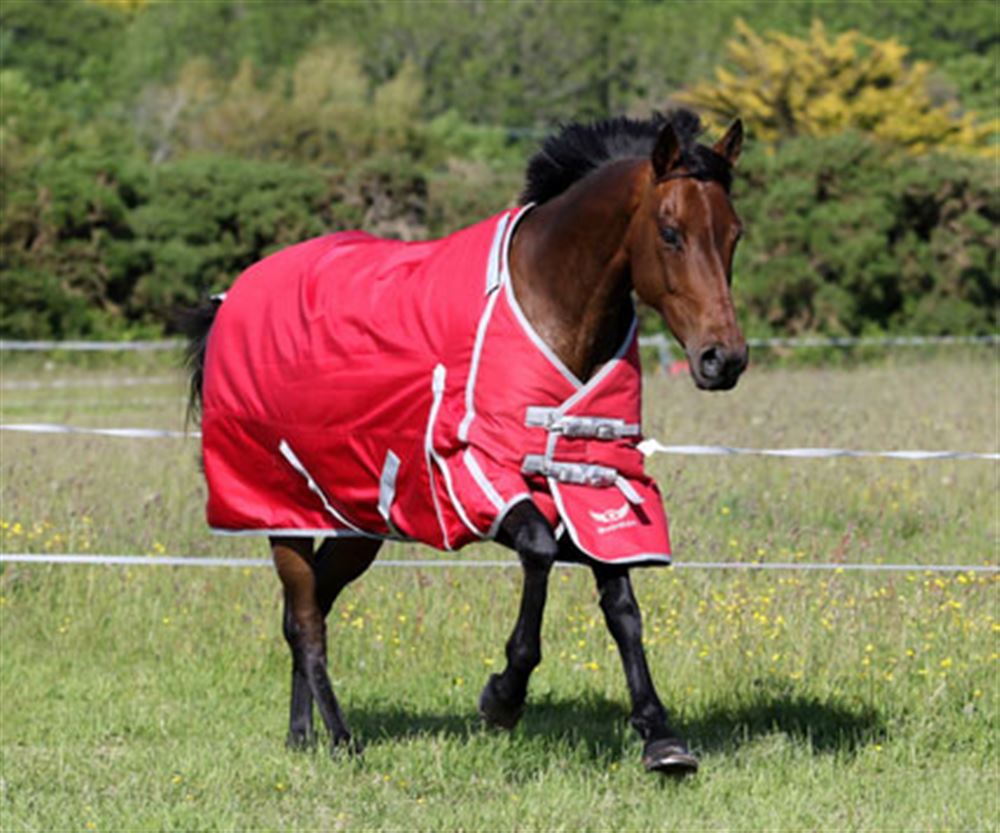 Electric Fence Horse Rug - FREE shipping!